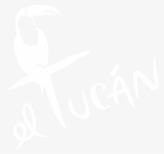 Marionmiamilogo Eltucanmiami Eltucanmiami - Toucan #8173493