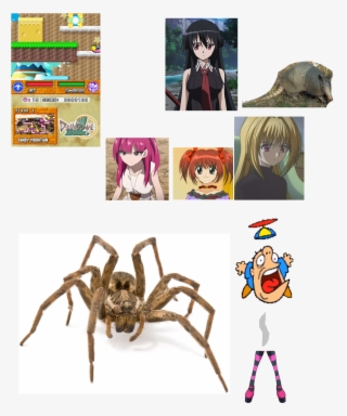 Poppy Bros Jr Explode By Spider 20151119 #8174410