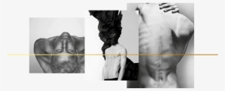 The Fifth Letter From The Jungles Of Peru / Catured - Nicolas Ripoll #8176114