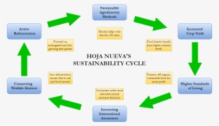 Hoja Nueva Diagram - Content Creation Flow Chart - Free Transparent PNG ...