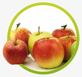 Manzana - Fruit #8176977