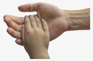 Hands Adult And Child Family Love Child Adult - Maos De Criança #8177274