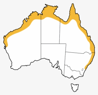 Map Black Flying-fox - Arnhem Land Australia Map #8178027