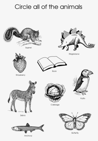 Coloring Pages - Circle The Animals Worksheet #8178062