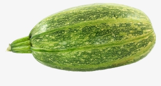 1400 X 848 9 - Figleaf Gourd #8178256