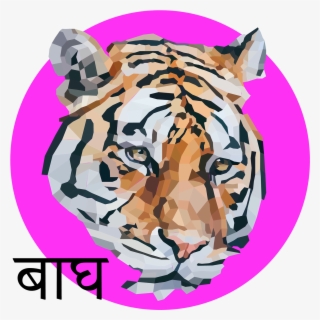 Save To Collection - Illustration #8178969