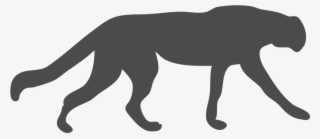 Wildcat Clipart Cougar - Black Outline Of Animals #8179272