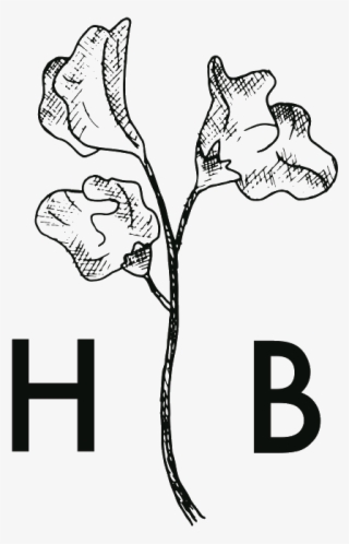 Hudson Botanica Floral Design - Orchid #8179387 Hudson Botanica Floral Design - Orchid #8179387