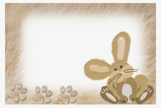 Domestic Rabbit #8180074