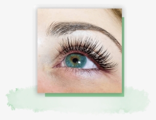 Lash Extensions - Eyelash Extensions #8180231