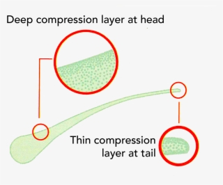 Tempered Glass - Diagram #8181075