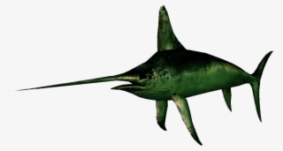Swordfish #8183185