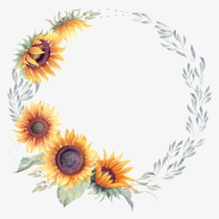 Sunflower #8183836