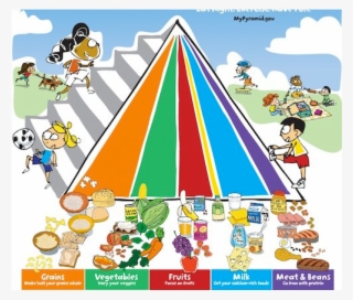 How Money Changed The Food Pyramid And Your Health - Mypyramid For Kids #8183911