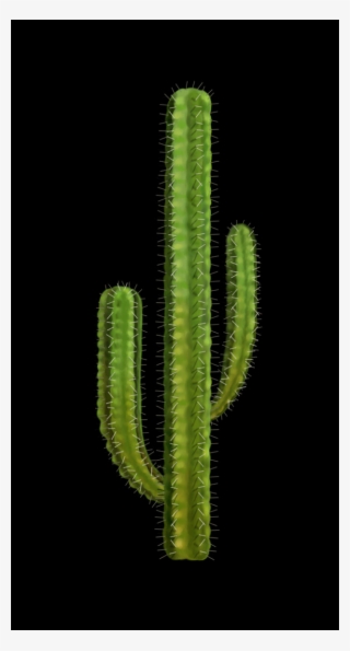 All Our Pngs Are Free To Download And Use - Acanthocereus Tetragonus #8184093