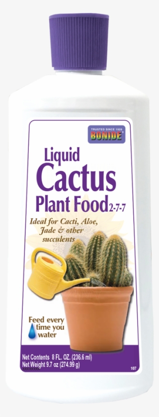 Cactus Food - Cactus #8184874