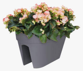 Home > Collection > Loft Urban Flower Bridge - Flowerpot #8184881