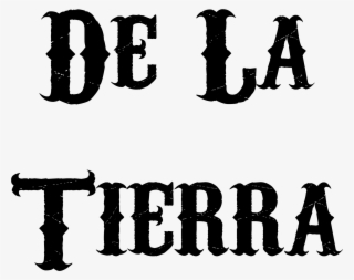 Panic! At The Disco #8187708 Panic! At The Disco #8187708