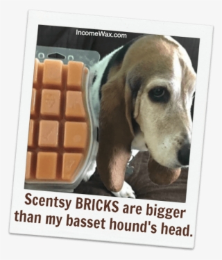 How Many Bars In A Scentsy Brick - Bill Gates Quotes #8189006