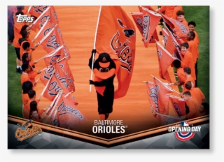 Baltimore Orioles - Banner #8190859