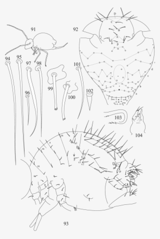 91, Outline Of Habitus - Line Art #8192144