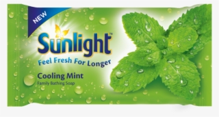 170111 1235fab Zazu Familybathingsoap Sa 01 Nn 09 - Sunlight Mint Soap #8192994
