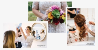 Without - Garden Roses #8193431