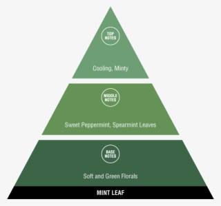 Fragrance Pyramid #8193528