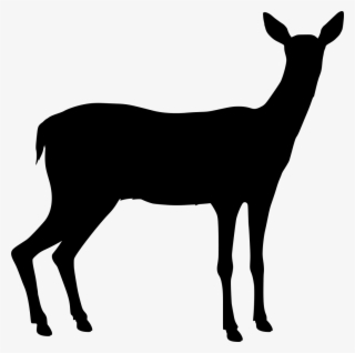 Download Png - Deer #8195178