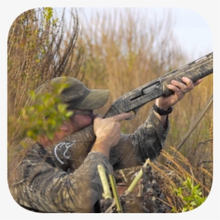 Shoot Rifle #8196372