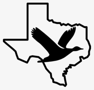 Duck Hunts - Icons San Antonio #8196541