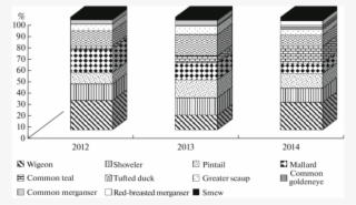 Species Ratio Of Main Hunting Ducks During The Period - Architecture #8196612