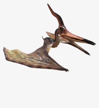 When Booking, Passengers Can Make An Optional Donation - Wood #8197141