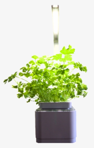 Custom Pack Smart Garden Combo - Flowerpot #8197146