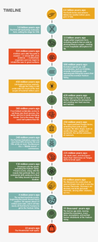 Icons Designed By Freepik From Flaticon - Circle #8197176