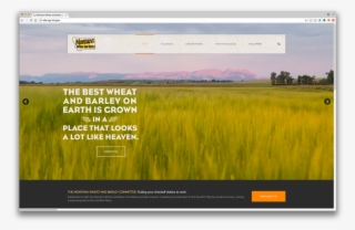 Montana Wheat And Barley Committee - Field #8197938