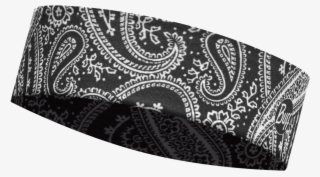 Paisley #8198520