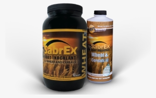 N - Fields Of Wheat #8198679