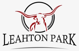 Texas Longhorns Logo Png - Texas Longhorn #8199491