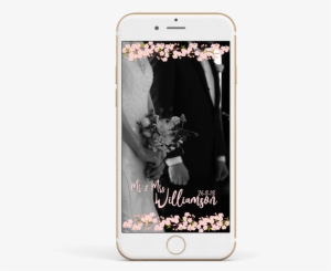 Cherry Blossom Branches #820353