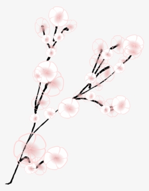 Cherry Blossom #820455