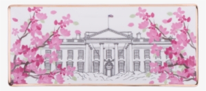 More Views - Cherry Blossom #820512