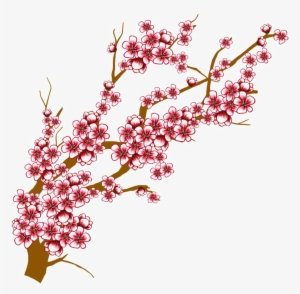Japanese Flowering Cherry Transparent Background - Cherry Blossoms Branch Drawing #820630