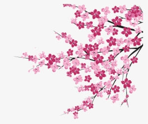 Cherry Blossom Tree Branch Png - Flores De Cerezo Png - Free Transparent  PNG Download - PNGkey