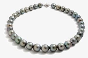 Tahitian String 11-13 - Necklace #820883