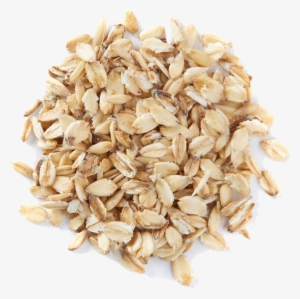 Oats Png Image With Transparent Background - Barley Seed #821201