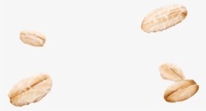 Oat Png #821268 Oat Png #821268