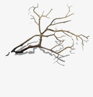 Ho Broken Bridge Branch-icon - Twig Branch #822190