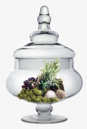 Glass Apothecary Jar H-10" Body - D & W Silks Easter Grass, Echeveria #822262