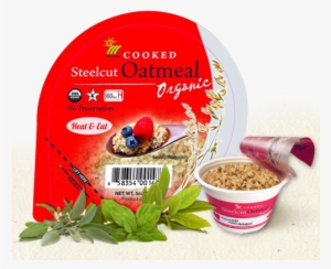 Organic Steelcut Oatmeal Cup #822567